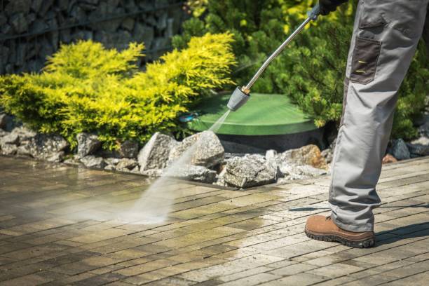 Best Boat and Dock Cleaning  in Lake Grove, NY